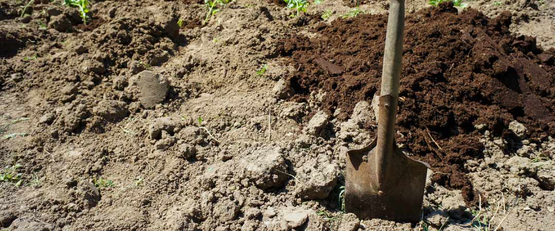 Cómo mejorar la calidad del suelo en otoño invierno