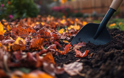 Los principales cambios del huerto en otoño