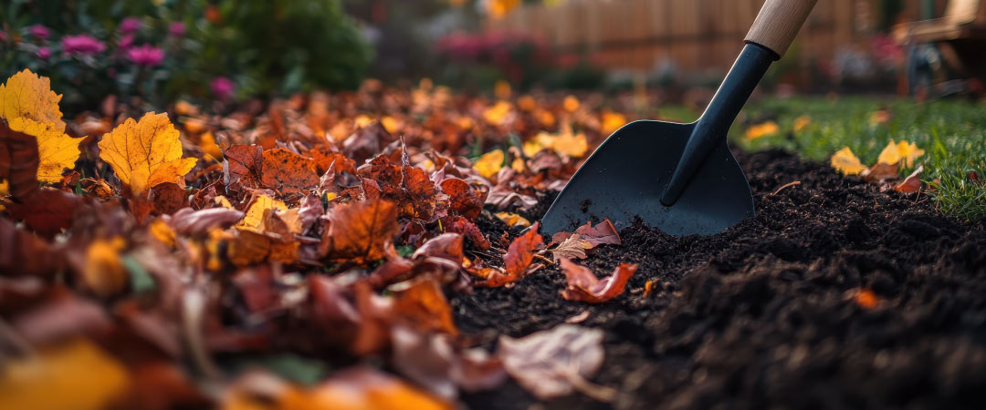 Los principales cambios del huerto en otoño