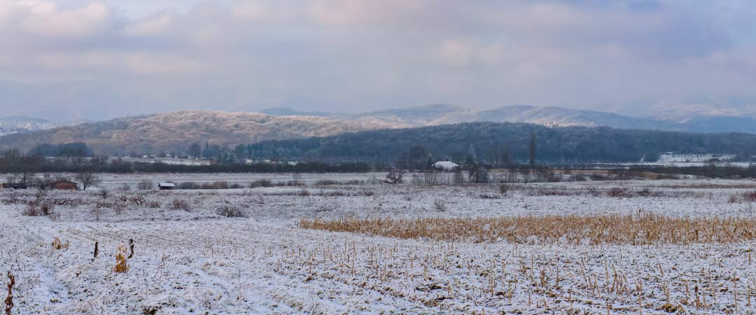 Cómo proteger tu huerto ecológico durante las primeras nevadas