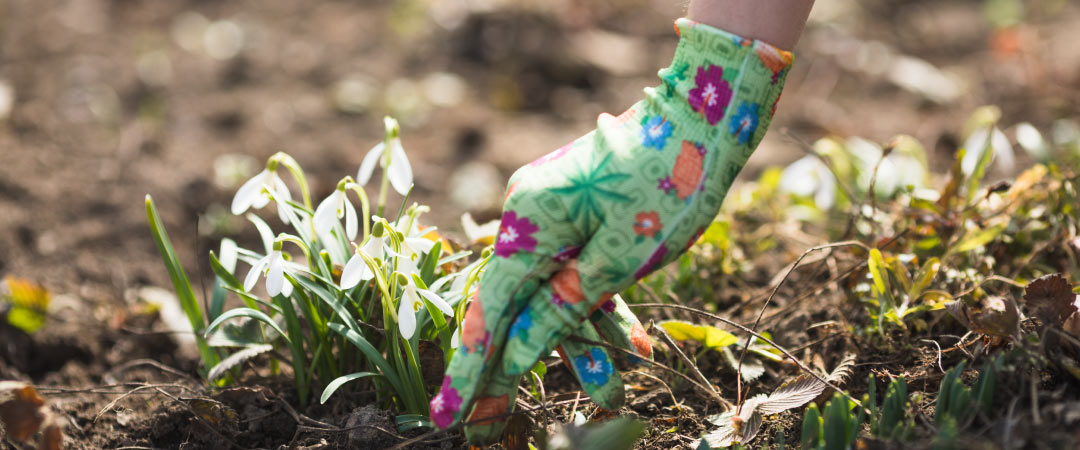 El cuidado del suelo de cara a primavera