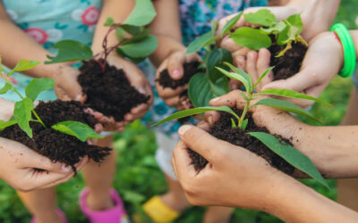 Huerto ecológico con niños