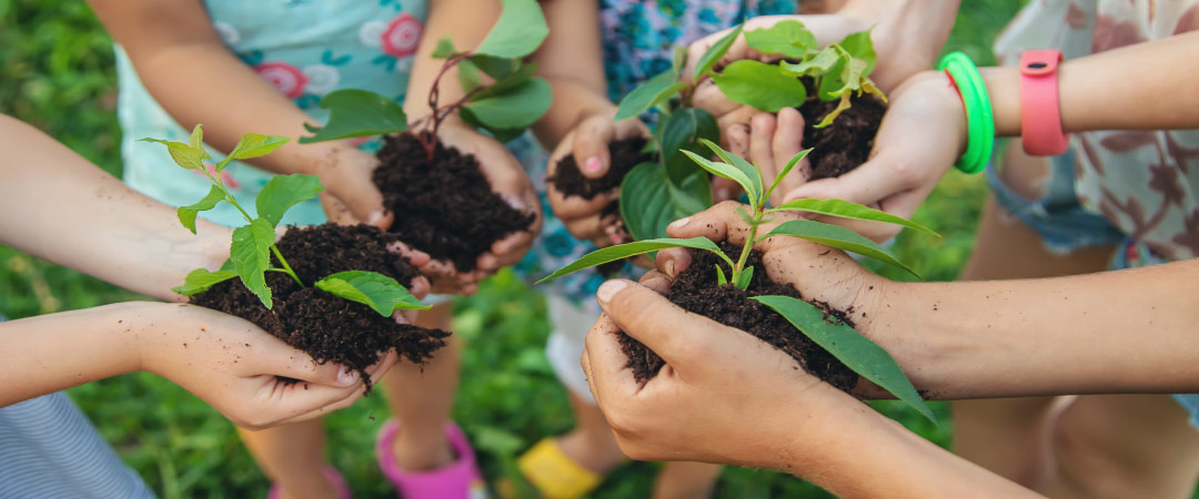 Huerto ecológico con niños